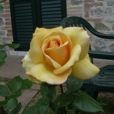 D' Epoca La Marianella ファームステイ *