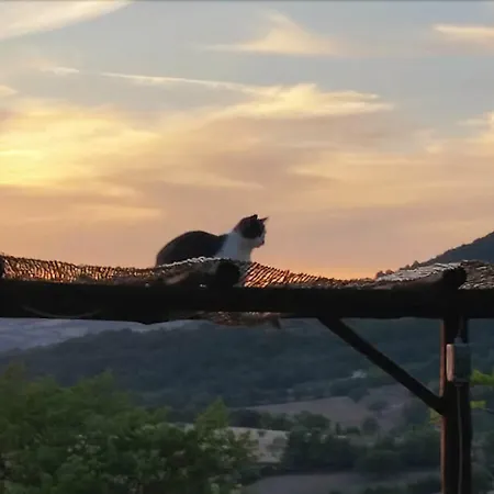 D' Epoca La Marianella ファームステイ Catabbio