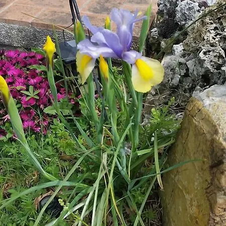 D' Epoca La Marianella *