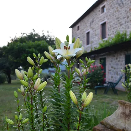 D' Epoca La Marianella ファームステイ