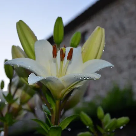 ファームステイ D' Epoca La Marianella