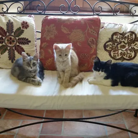 D' Epoca La Marianella ファームステイ