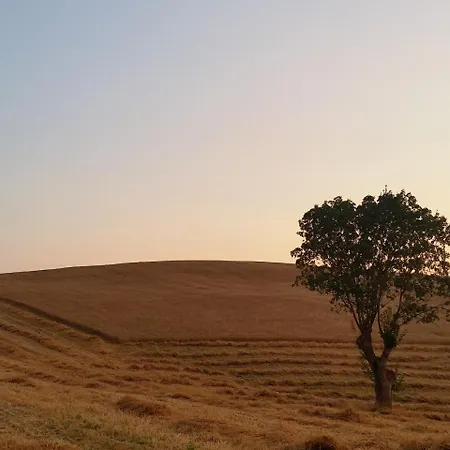 D' Epoca La Marianella ファームステイ Catabbio
